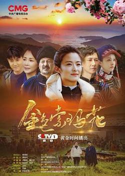 金色索玛花(2020)高清播放