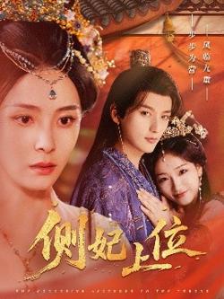 侧妃上位高清播放