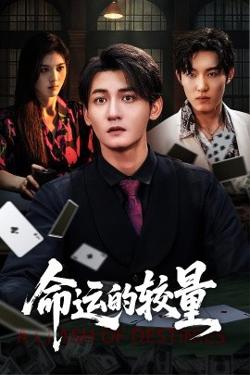 命运的较量高清播放