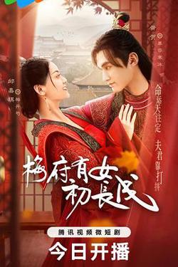 梅府有女初长成在线观看