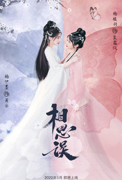 相思误在线观看