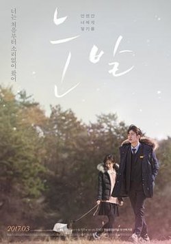 雪花高清播放