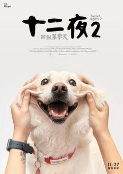 十二夜2：回到第零天高清播放