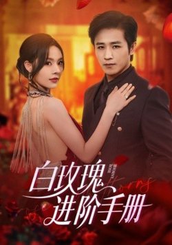 白玫瑰进阶手册高清播放
