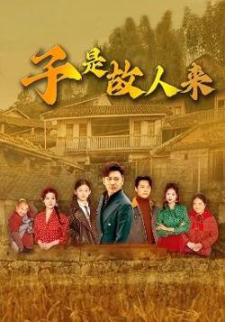 子是故人来高清播放