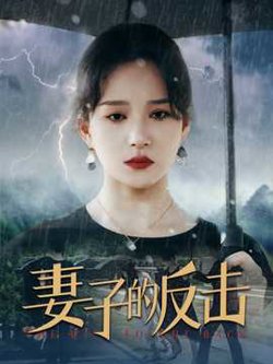 妻子的反击2024在线观看