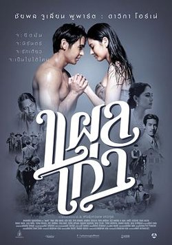 旧伤在线观看