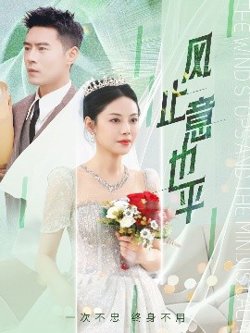 风止意也平高清播放