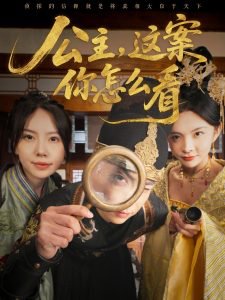 公主，这案你怎么看高清播放