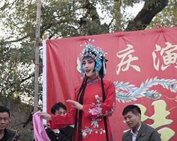情系拉魂腔高清播放