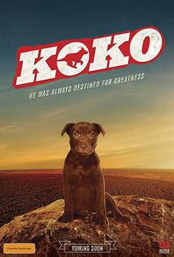 Koko红犬历险记高清播放