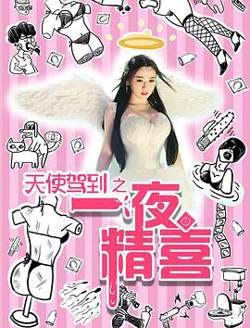 天使驾到之一夜精喜在线观看