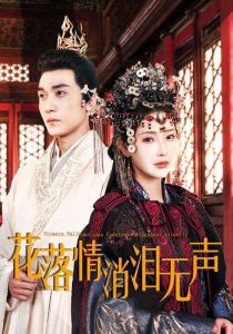 花落情消泪无声高清播放