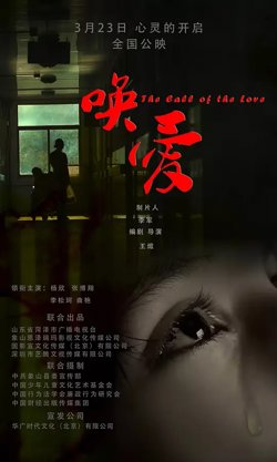 唤爱【影视解说】在线观看