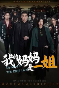 我的妈妈是一姐在线观看