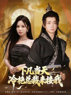 下凡当天，冷艳总裁来接我在线观看