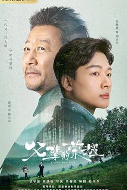 父辈的荣耀高清播放