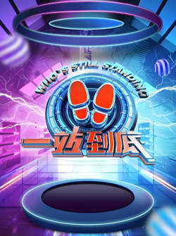 一站到底 2021高清播放