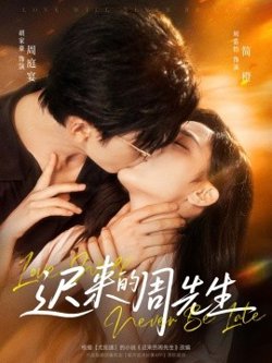 迟来的周先生高清播放