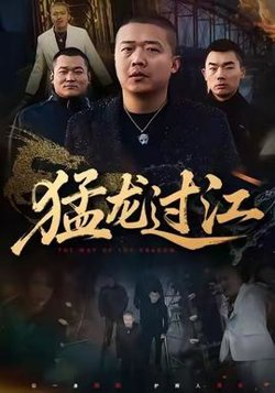 猛龙过江高清播放