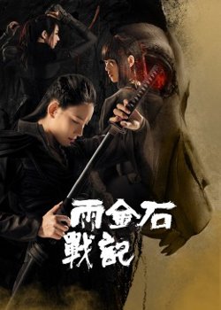 雨金石战记在线观看