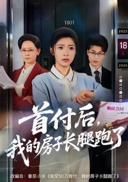 首付后，我的房子长腿跑了高清播放
