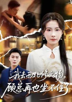我去西北修文物，顾总再也坐不住了高清播放