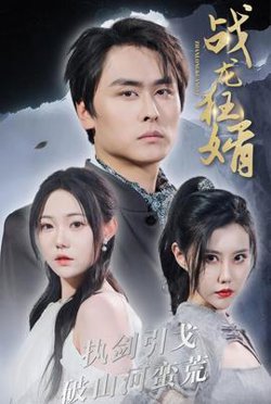 战龙狂婿高清播放