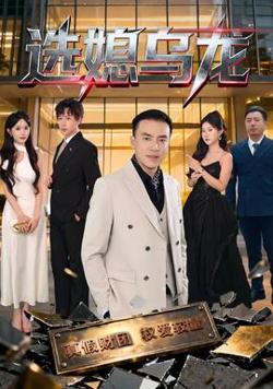 选媳乌龙高清播放