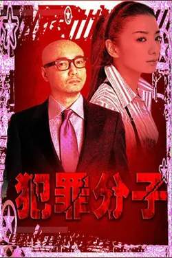 犯罪分子【影视解说】高清播放