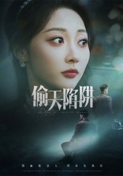 偷天陷阱高清播放