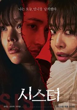 姐妹2026[电影解说]在线观看