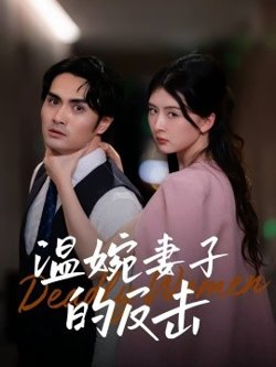 温婉妻子的反击高清播放