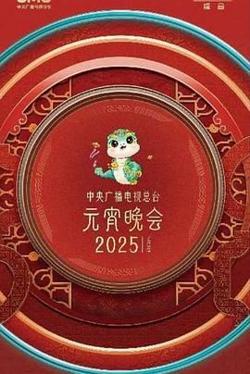 中央广播电视总台2025年元宵晚会在线观看