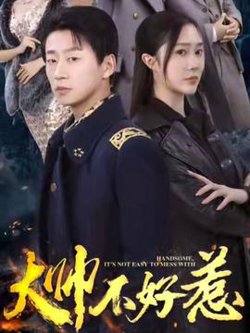 大帅不好惹高清播放