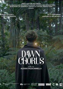 Dawn.Chorus高清播放