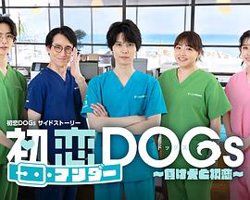 初恋UNDER DOGs～败犬与初恋～在线观看