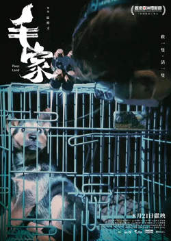 毛家 2024在线观看