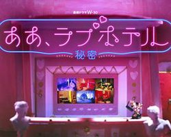 情侣酒店～秘密～高清播放