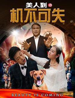 美人到之机不可失在线观看