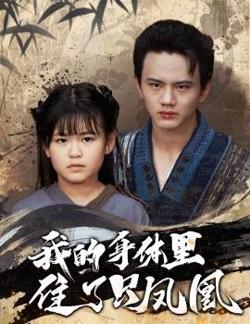 我的身体里住了只凤凰高清播放
