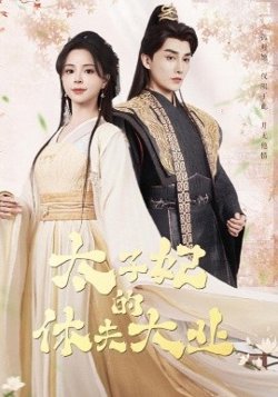 太子妃的休夫大业高清播放