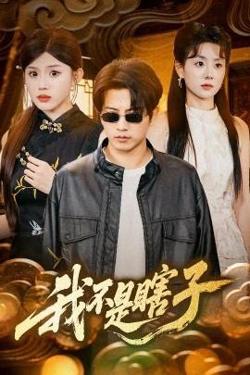 我不是瞎子高清播放