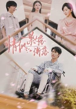 情似繁花渐落高清播放