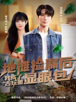地摊捡漏后，我成了古玩圈显眼包高清播放