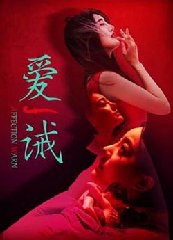 爱诫高清播放