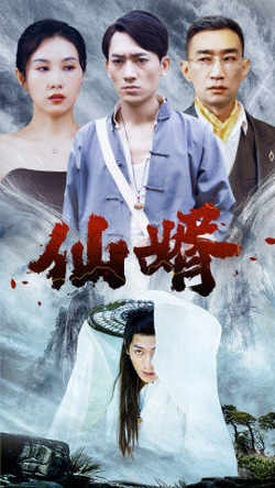 仙婿高清播放