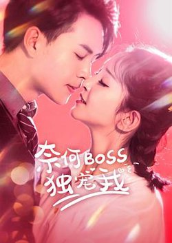 奈何Boss独宠我高清播放