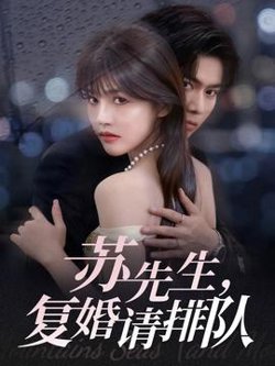 苏先生，复婚请排队高清播放