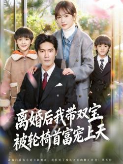 离婚后我带双宝被轮椅首富宠上天(离婚后,我被轮椅首富宠上天)